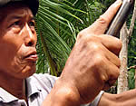 Sri Bintan Kampung Eko tūre