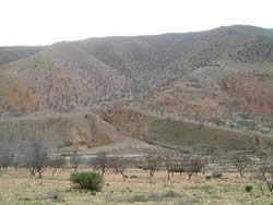 Maroka
