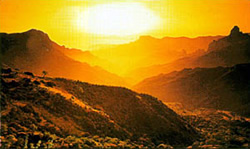 Kanāriju salas
