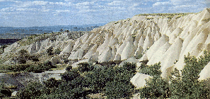 Stambula