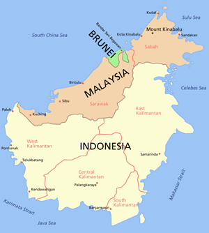 Borneo sala, Sabaha, Sarawaka